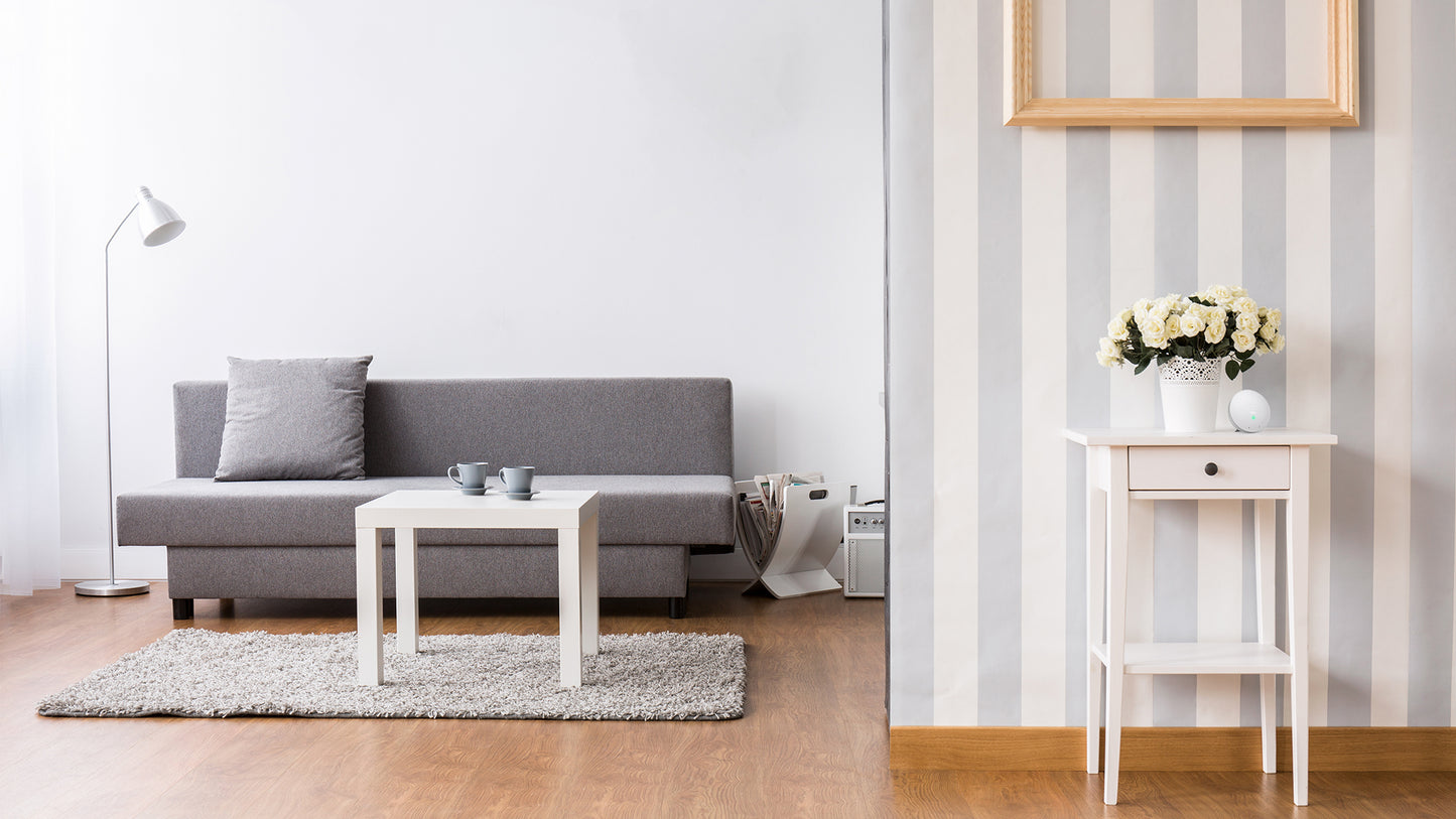 Airthings Wave Mini- Livraison gratuite - Détecteur de Moisissure, COV, Température et Humidité
